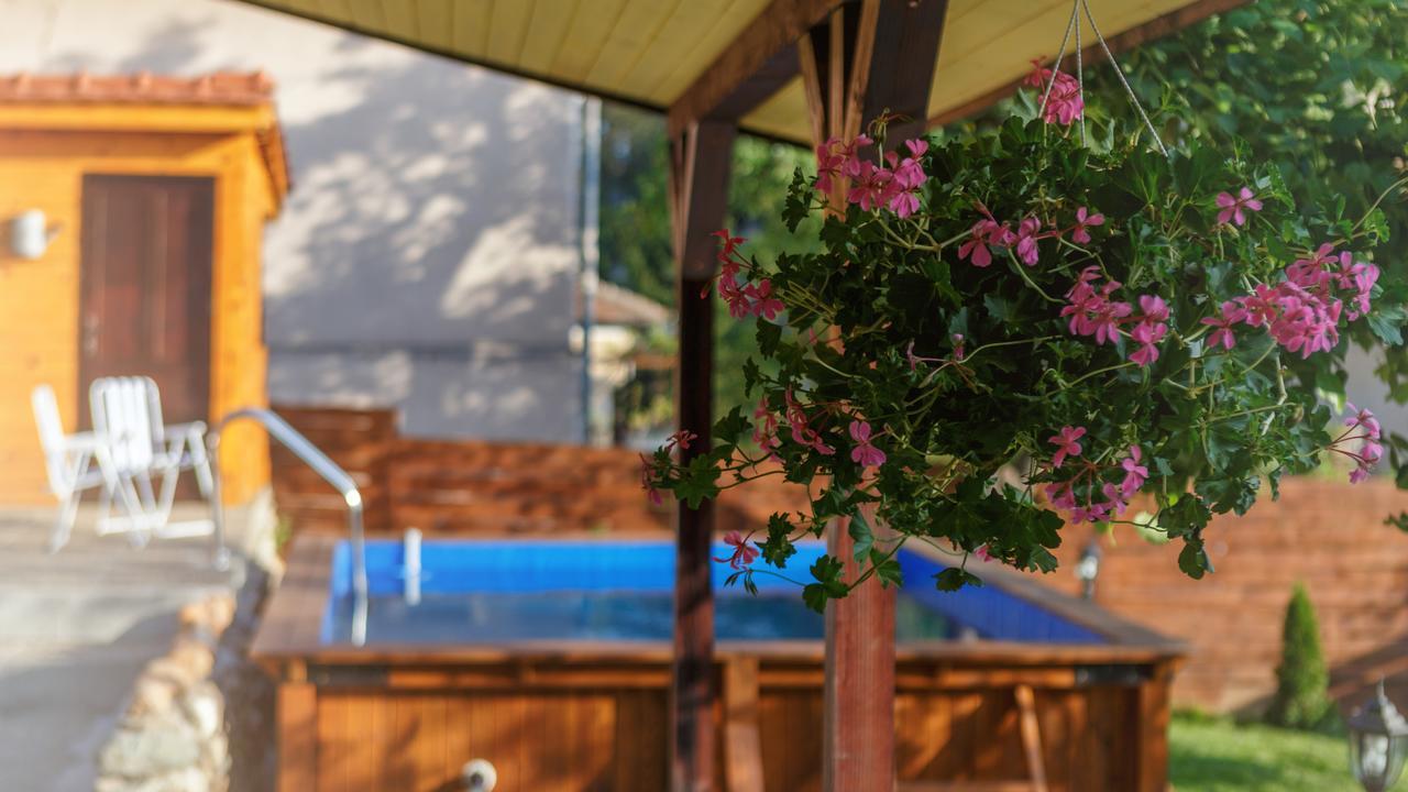 בלוגראדצ'יק Villa Rose מראה חיצוני תמונה